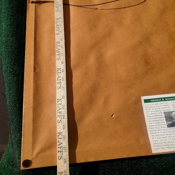 Thomas D. Mangelsen Out Of Darkness Bald Eagle Signed Framed Print Art 34"x28" - Picture 16 of 16